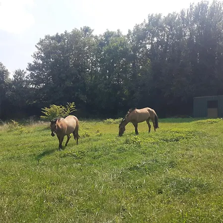 Domaine-de-la-borde A Epernay Panzió 4*