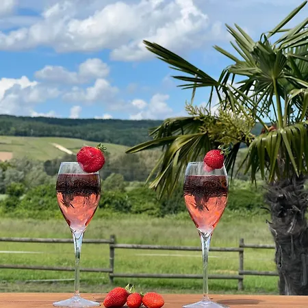 Domaine-de-la-borde A Epernay לינה וארוחת בוקר 4*