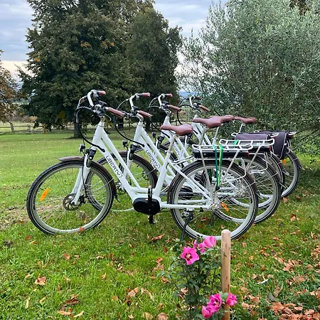 לינה וארוחת בוקר Domaine-de-la-borde A Epernay 4*