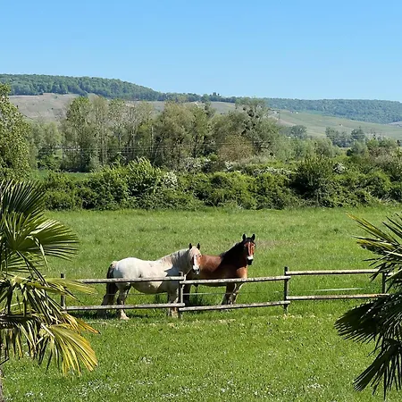 Domaine-de-la-borde A Epernay Bed & Breakfast Mardeuil