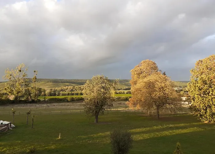 Panzió Domaine-de-la-borde A Epernay Mardeuil