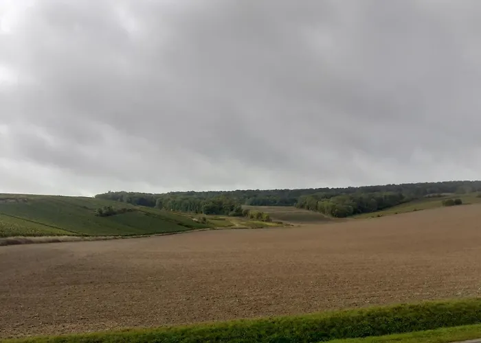 Domaine-de-la-borde A Epernay 4* Mardeuil